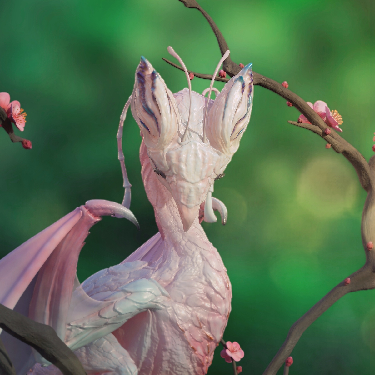 IMG_5368(20200429-000845)