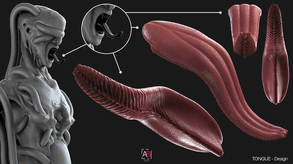 Tongue Design