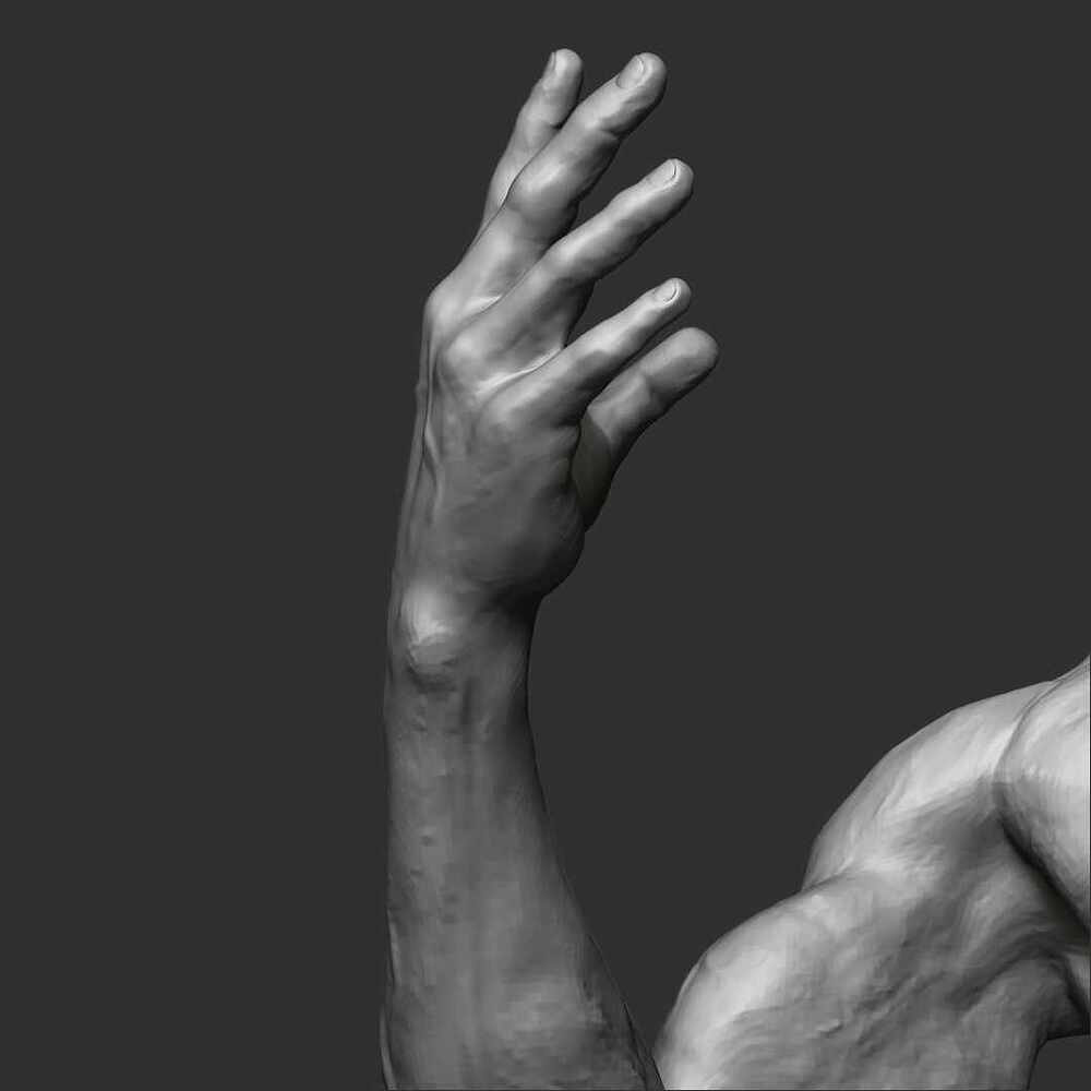 Arms_n_hands_7