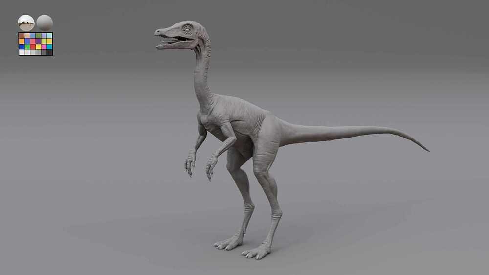 Wireframe_base