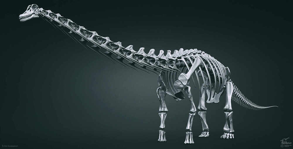 Cooper_Skeleton_02_1_Logo