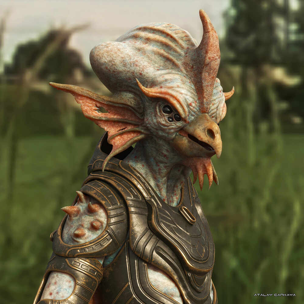 Space Chicken - HDRI 8