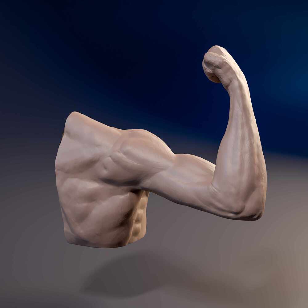 Arm_supin_02