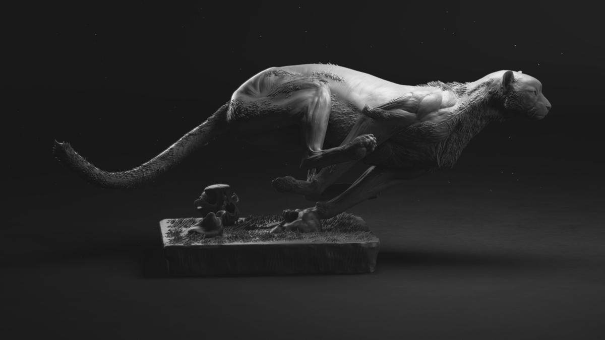 cheetahPose02v06