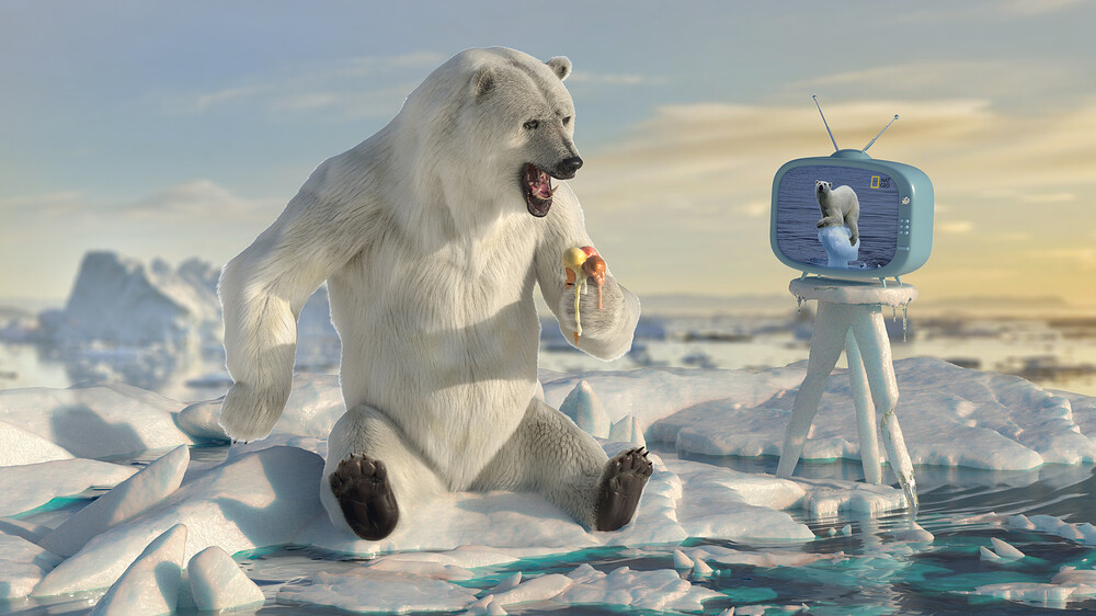bearOnIce_viewA_kuntalSarkar