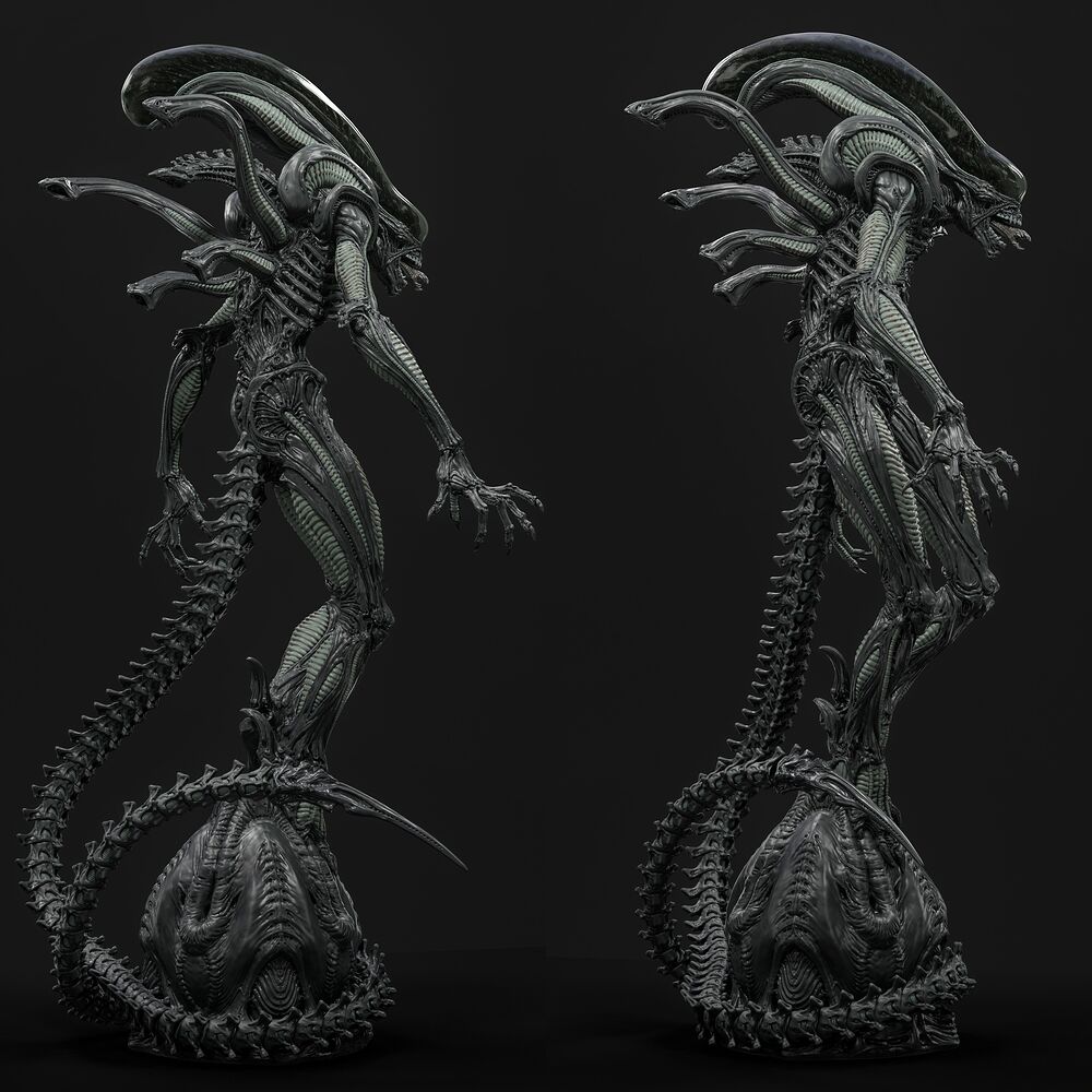 X_004