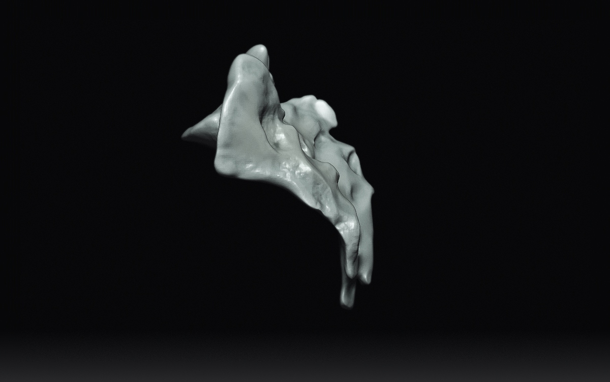 Sacrum1