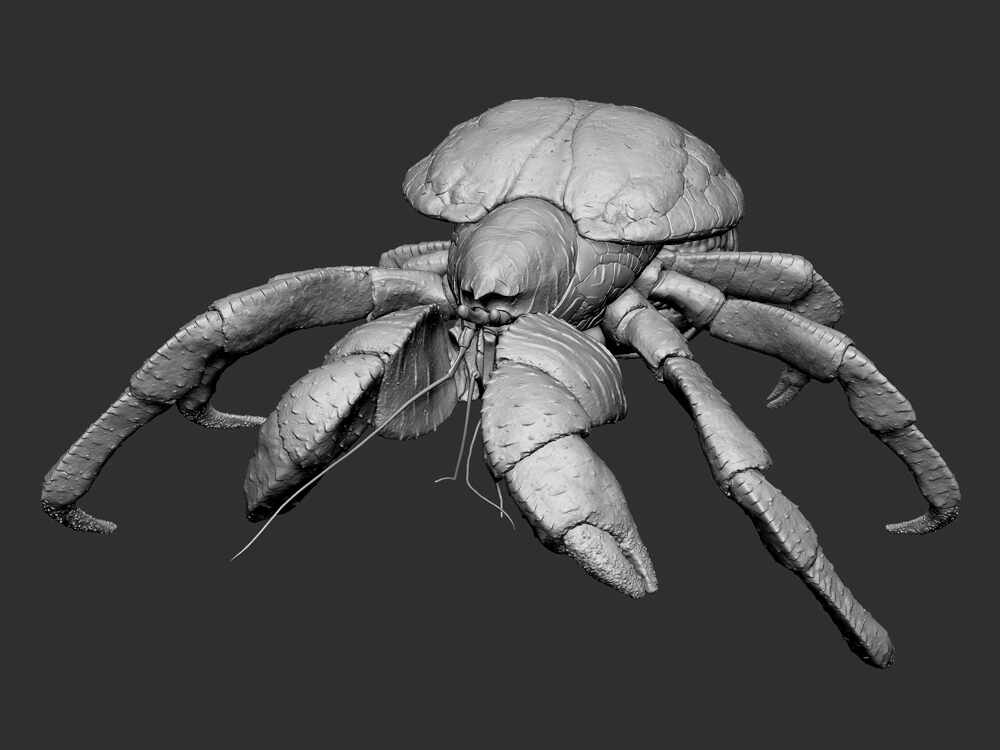 ZBrush Document