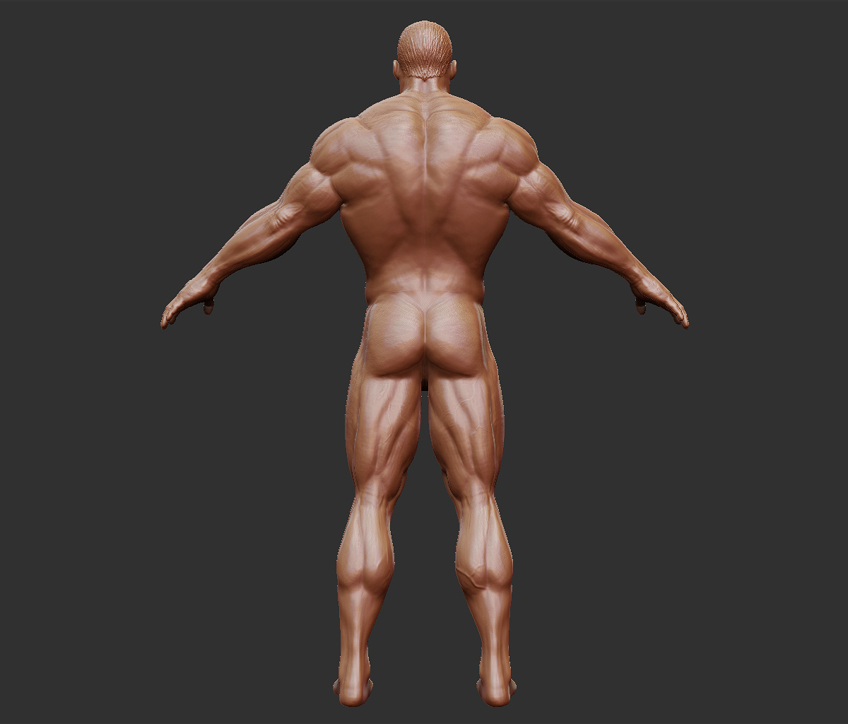 he-man_body_back_01.jpg
