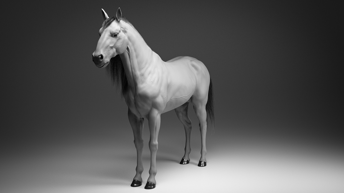 Horse_ (3 of 7)