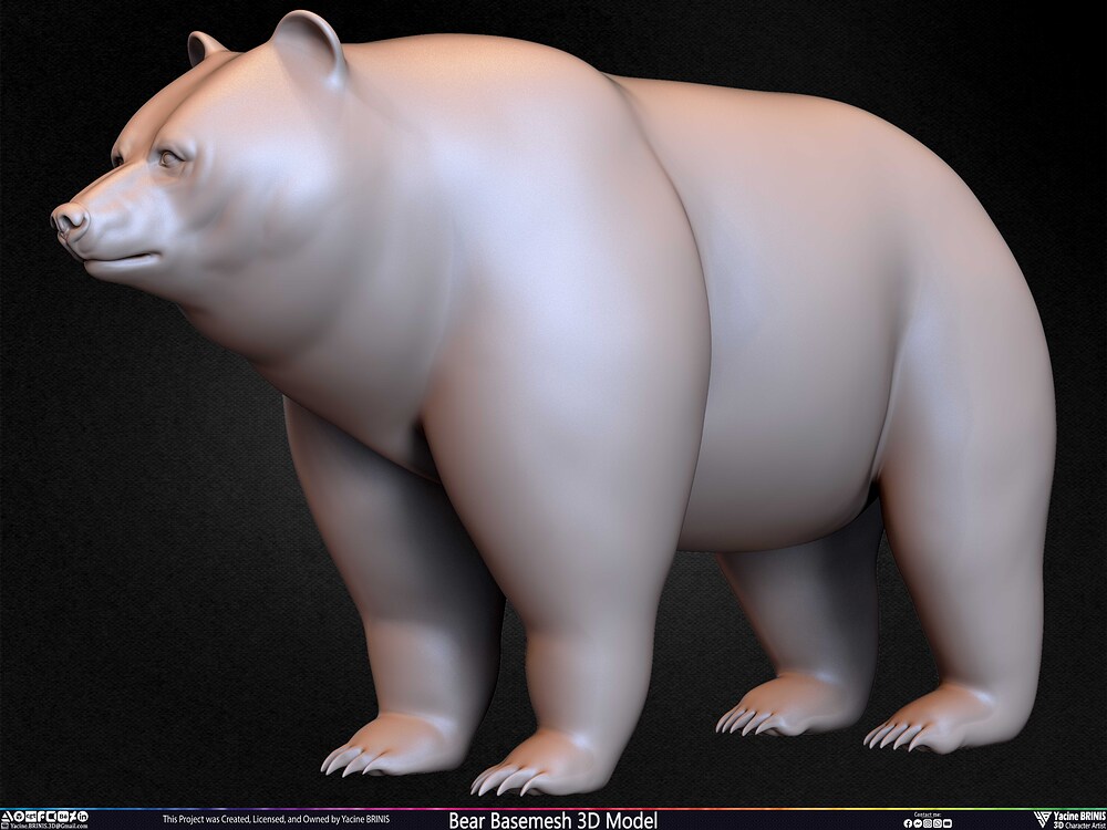 Bear Basemesh 3D Model Sculpted by Yacine BRINIS Set 040