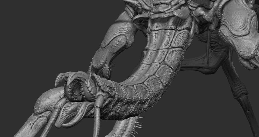 ZBrush Document6