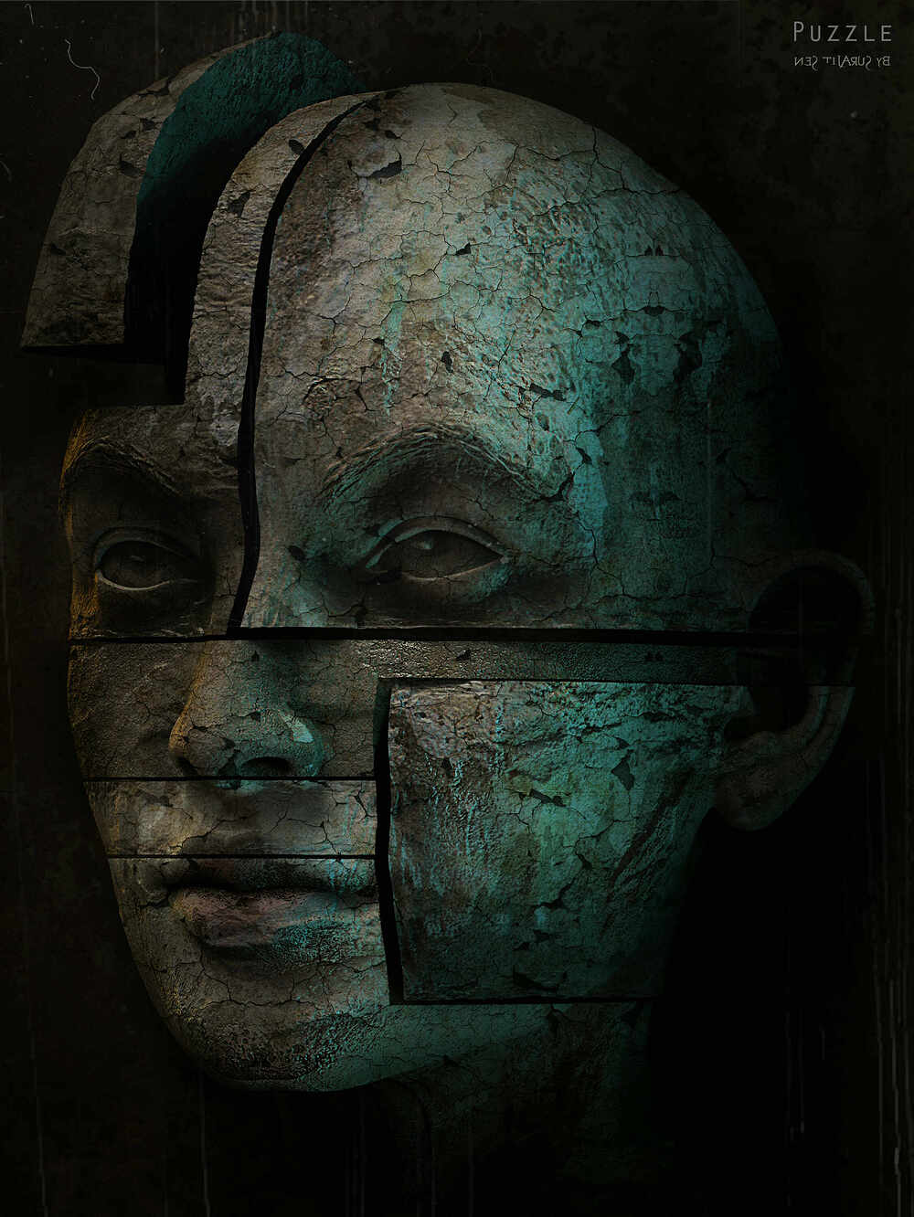 Puzzle_Digital_Sculpture_SurajitSen_Jul2024