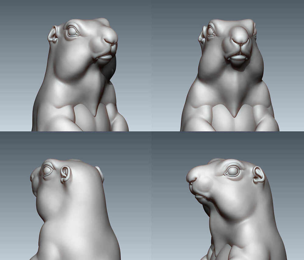 head_hp_1905