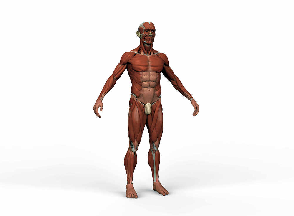 RENDER_COMPO2