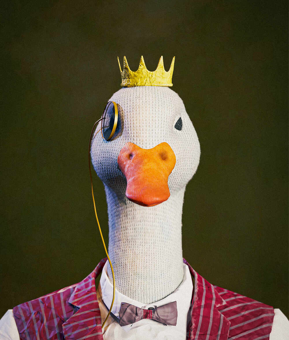 duck front