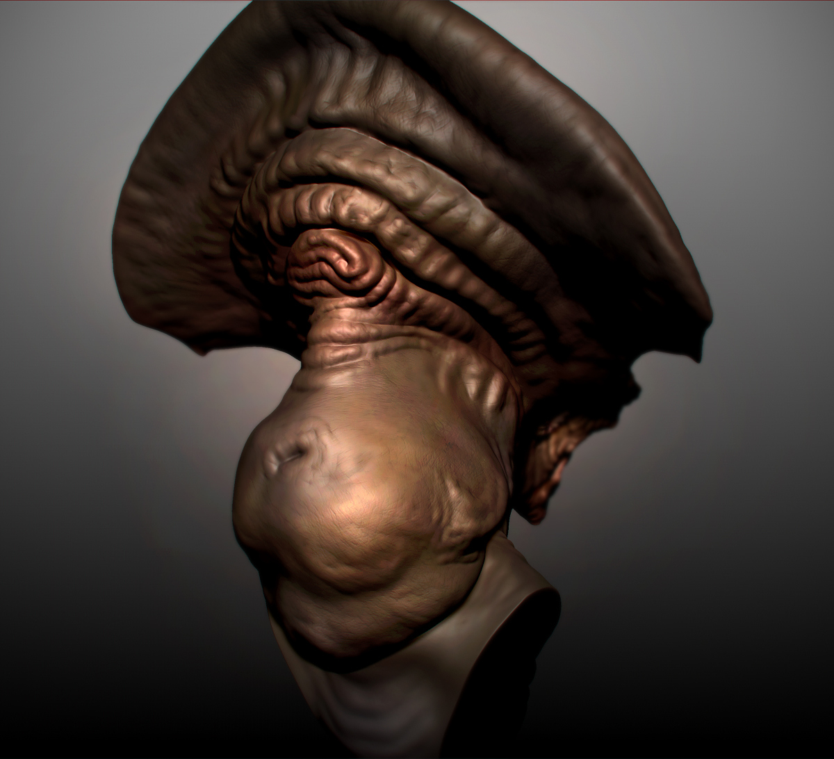 R_03.jpg