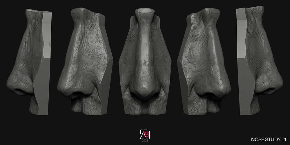 Nose Study-1