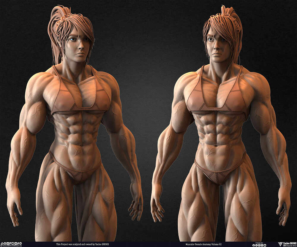 Muscular Female anatomy Volume 02 sculpted by Yacine BRINIS 018