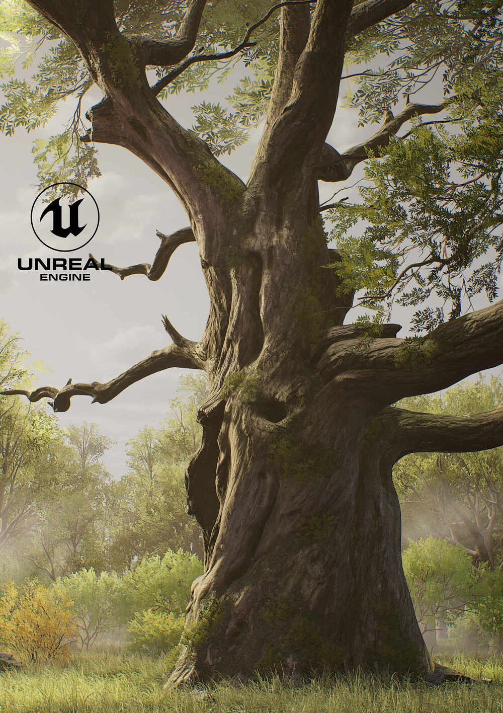 UE_TOD_Tree_Morning_Dawn01