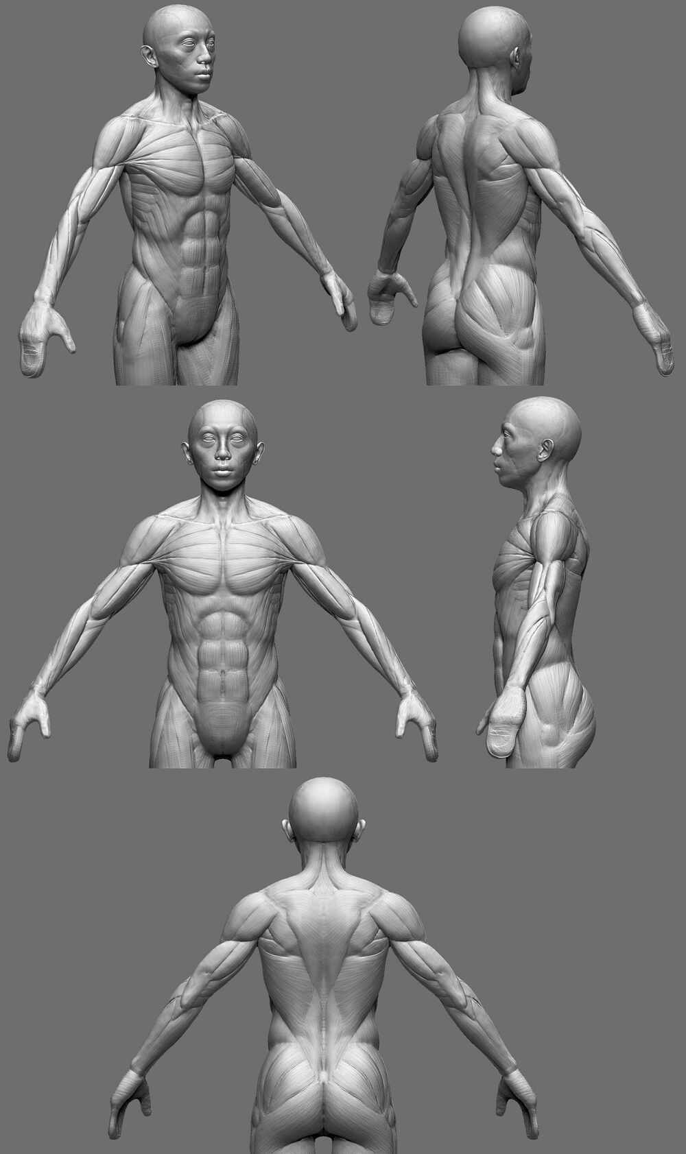 torso.01