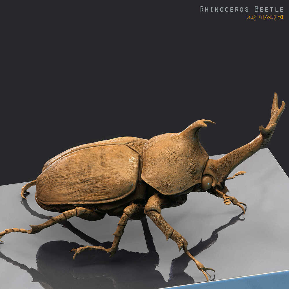 Rhinoceros_Beetle_Digital_Sculpture_SurajitSen_Aug2023A