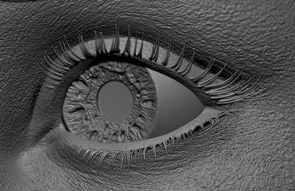 Eye