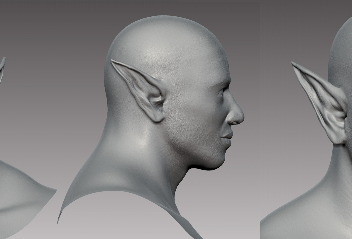 Bust.jpg