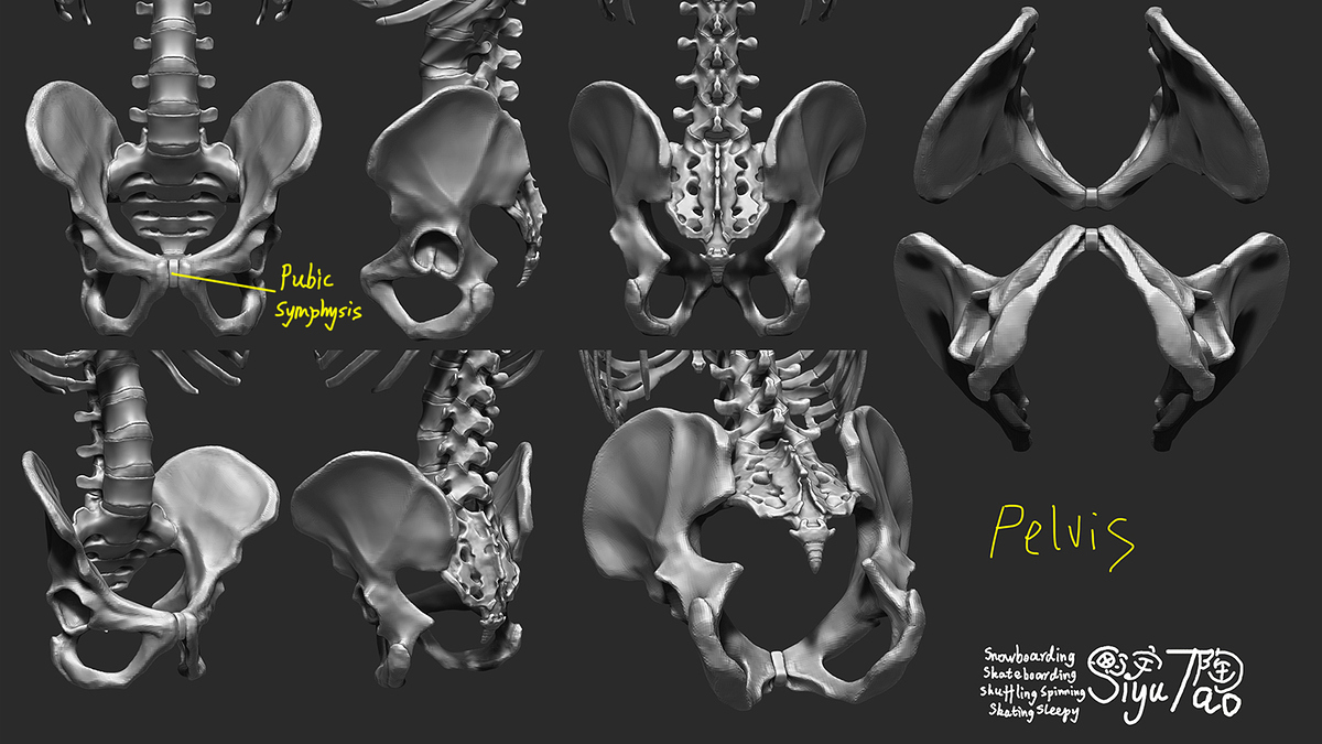 ZBrushBPR.1015