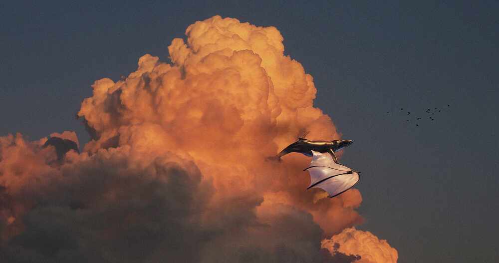 whale_sky