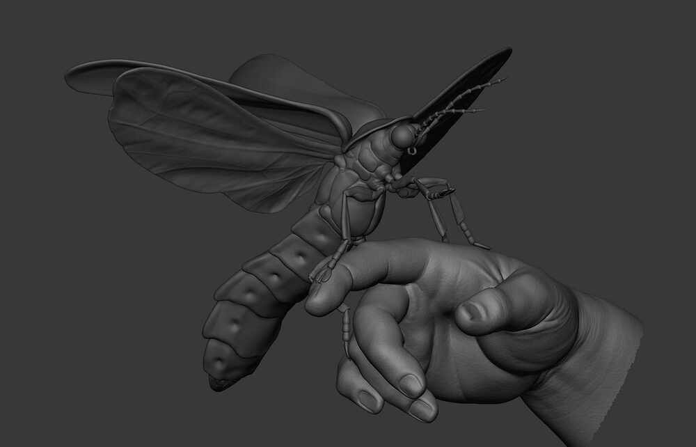 ZBrush Document7