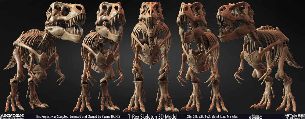 T-Rex Skeleton 3D Model (Tyrannosaurus Rex) Sculpted By Yacine BRINIS Set 053