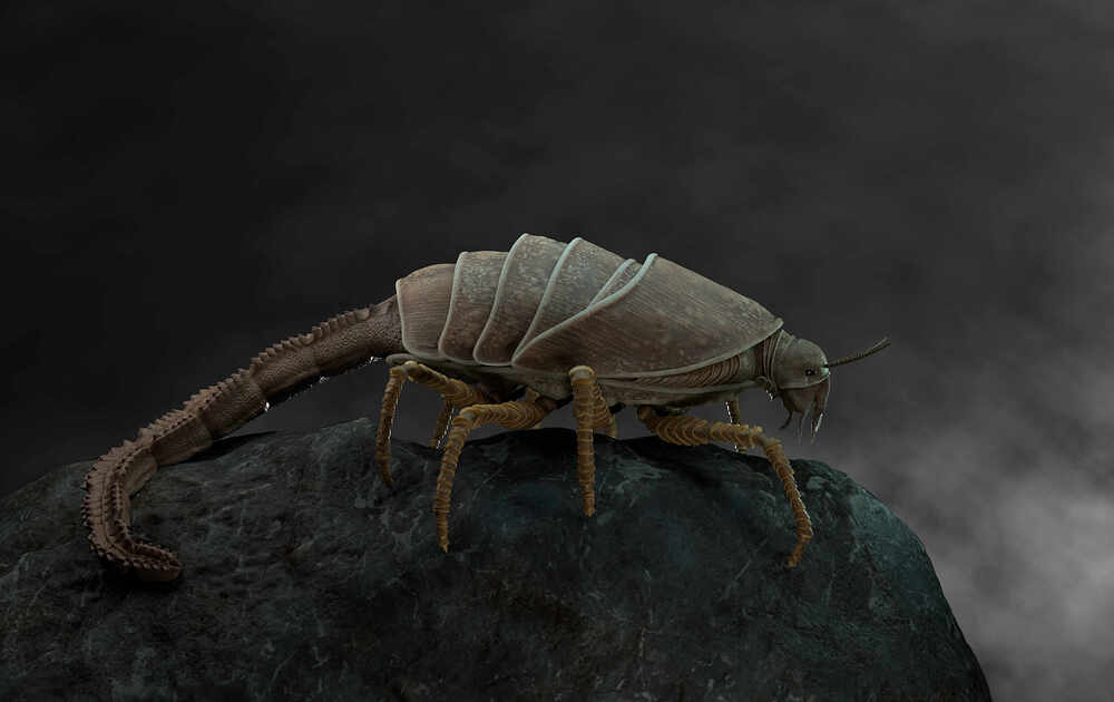 Creature-Side