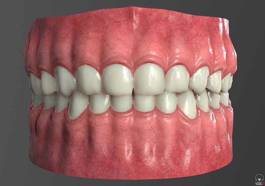 Toolbag_screenshot_04