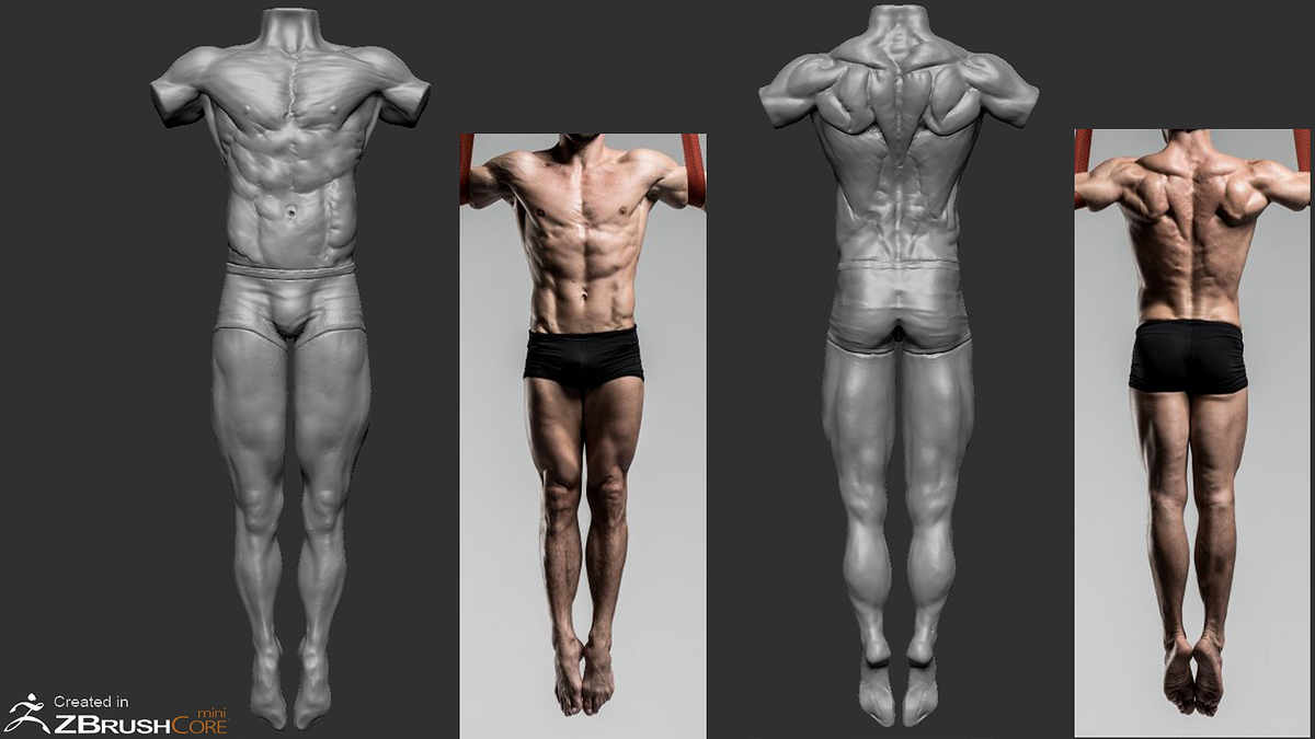 anatoyomy in motion core mini