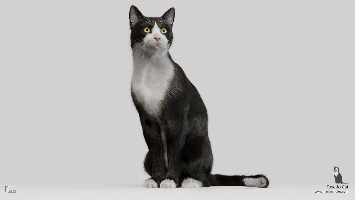 TuxedoCat.v1.2