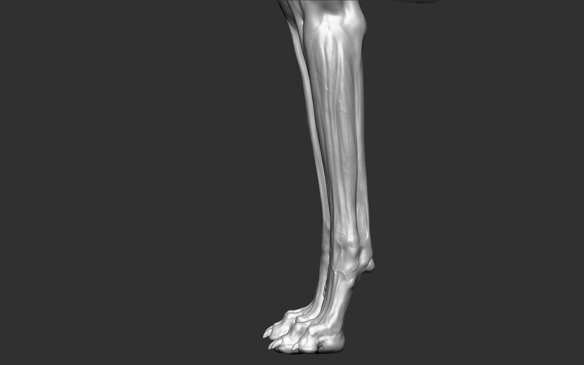 a_-models-15