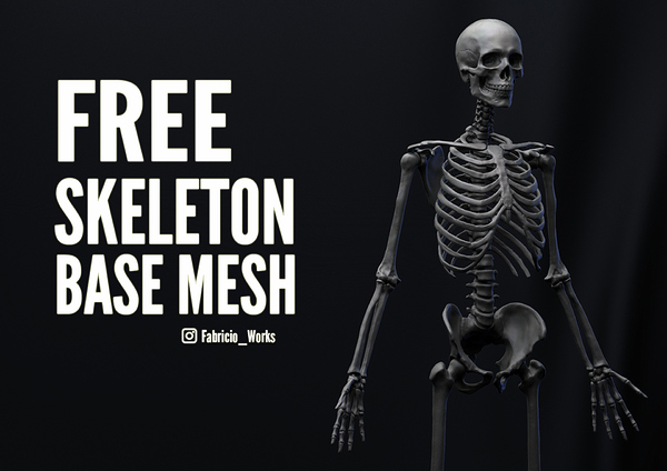 00 Skeleton 1-2
