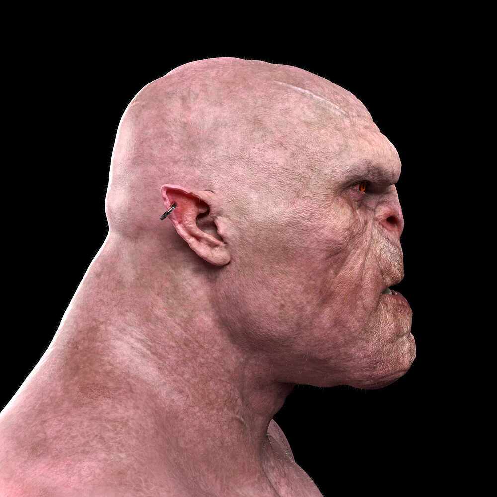 Orc_head_perfil