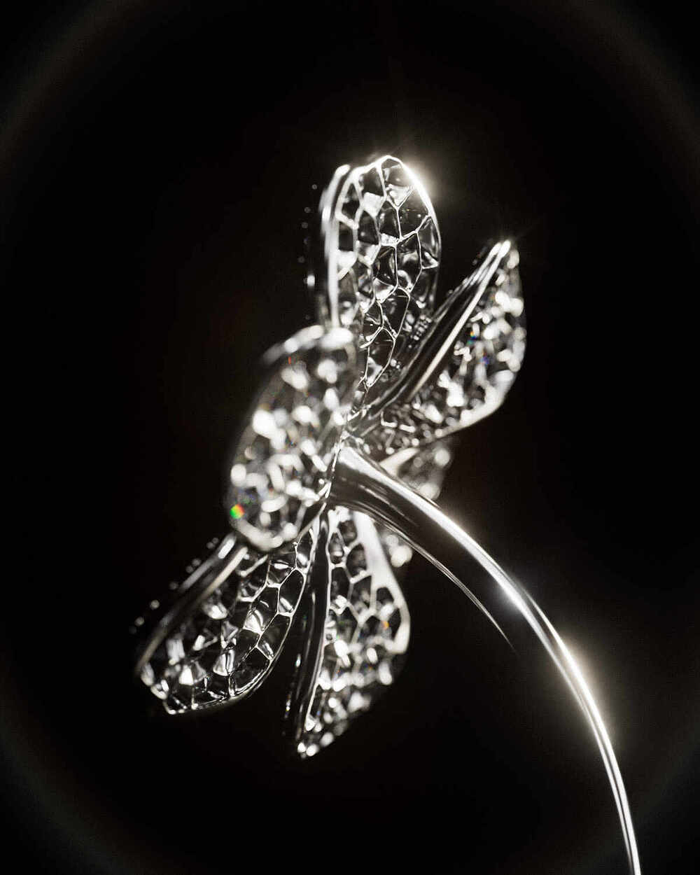 05_Flower_010