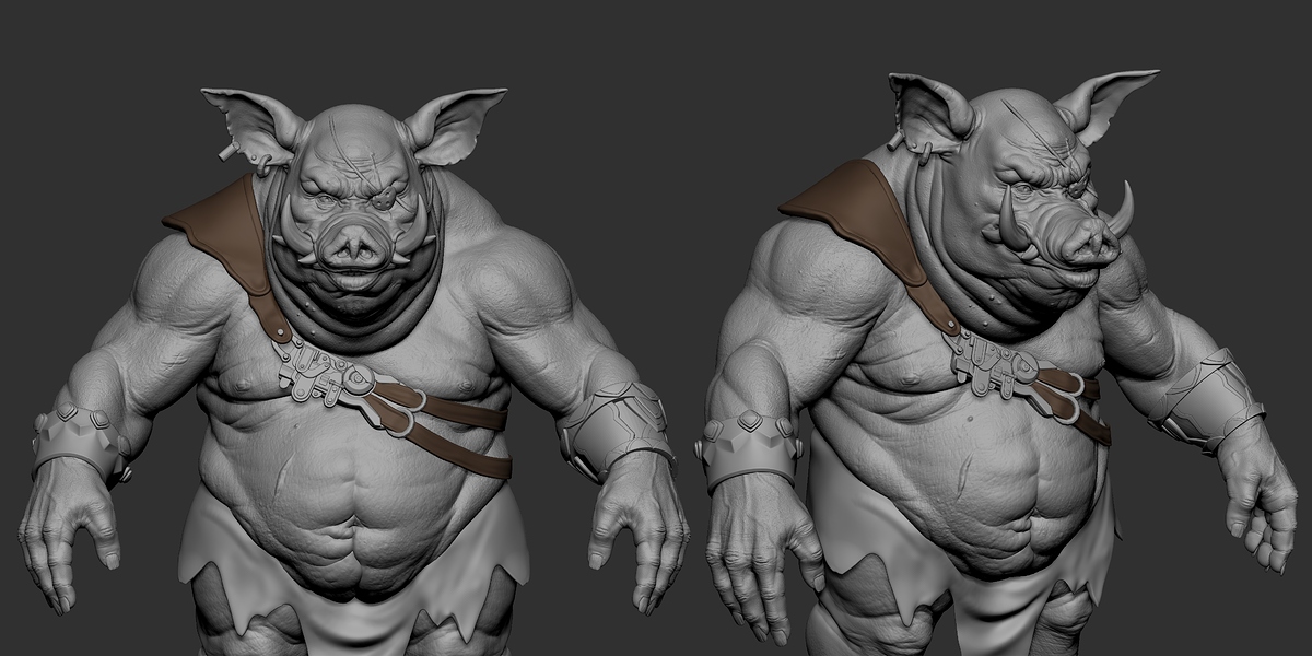 boar_daily_model-hi_002