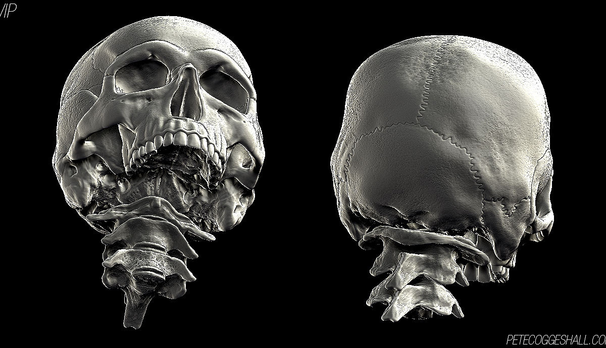 skull2.jpg