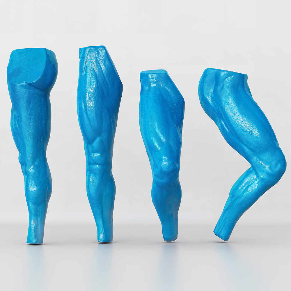 Leg_Final