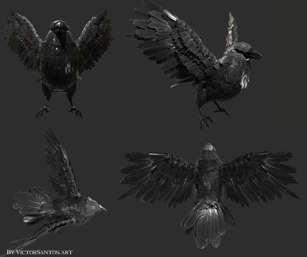 crow