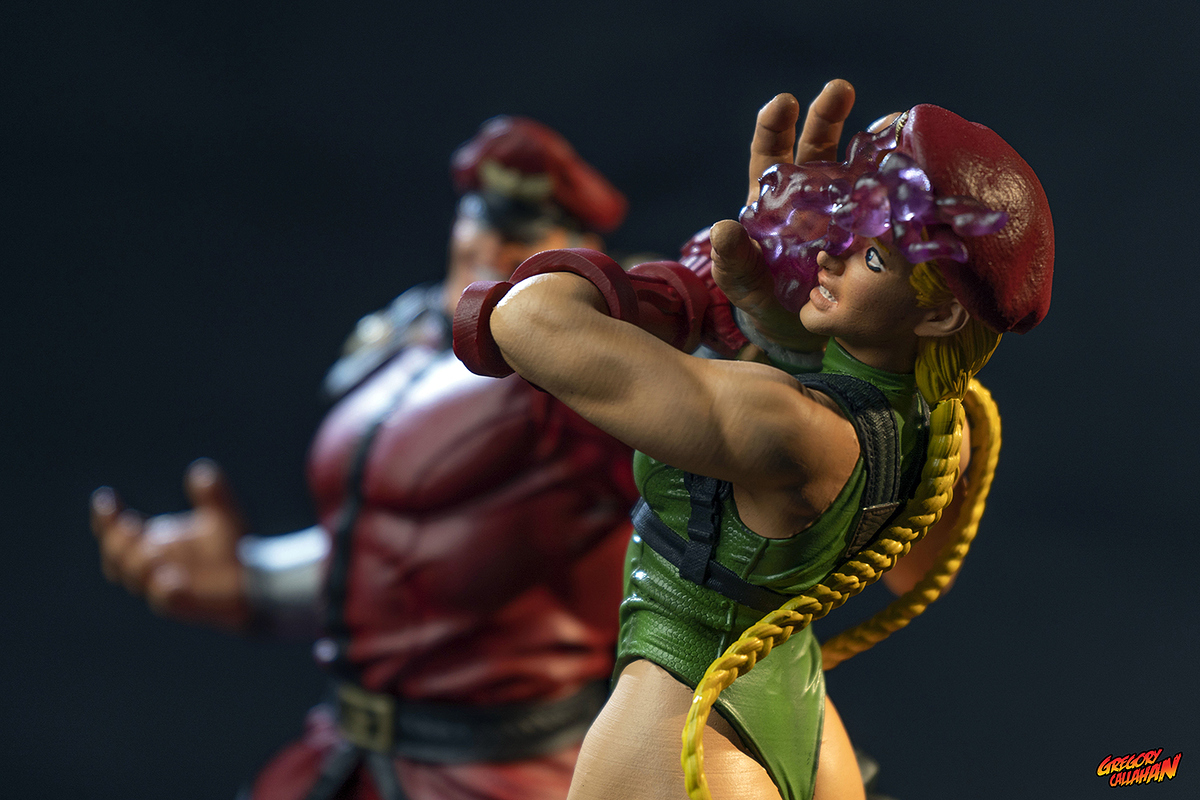 bison_vs_cammy%20(15)