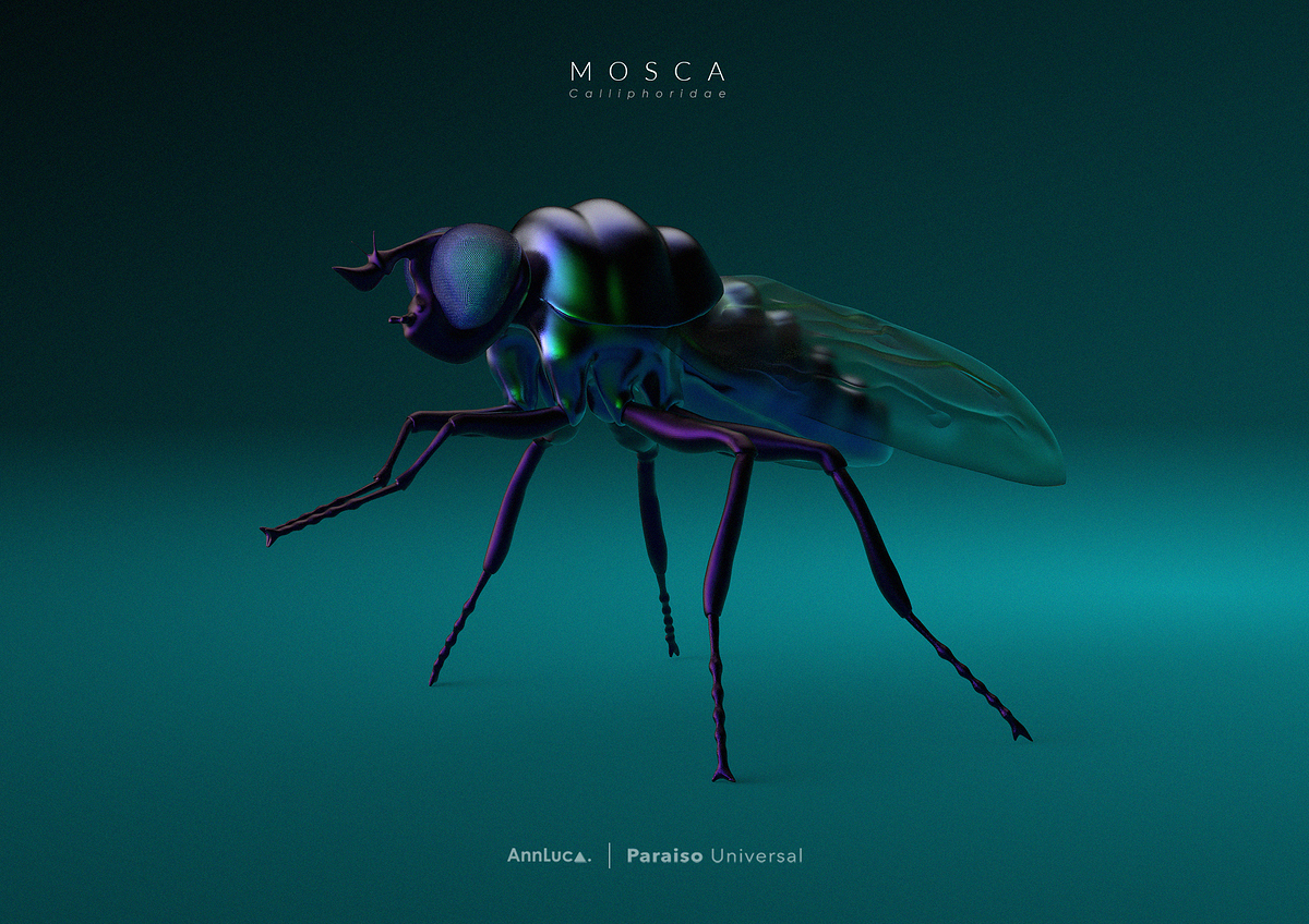 mosca