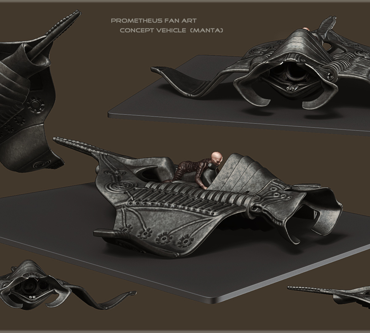 Manta02.jpg