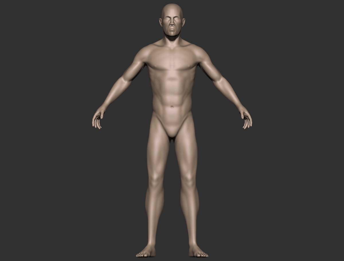male anatomy_front.jpg