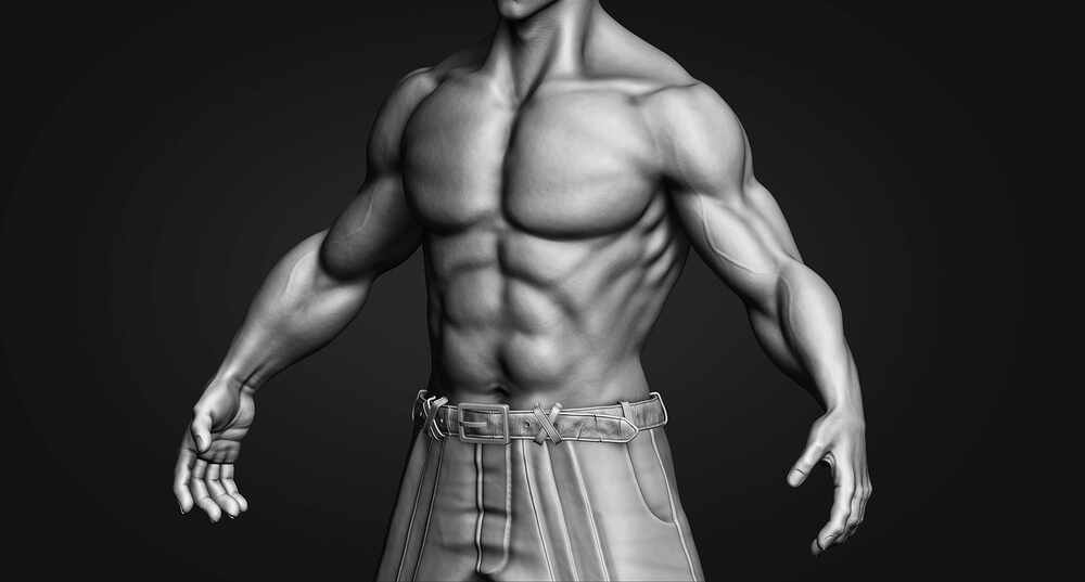 Zbrush_UpperBody_Front