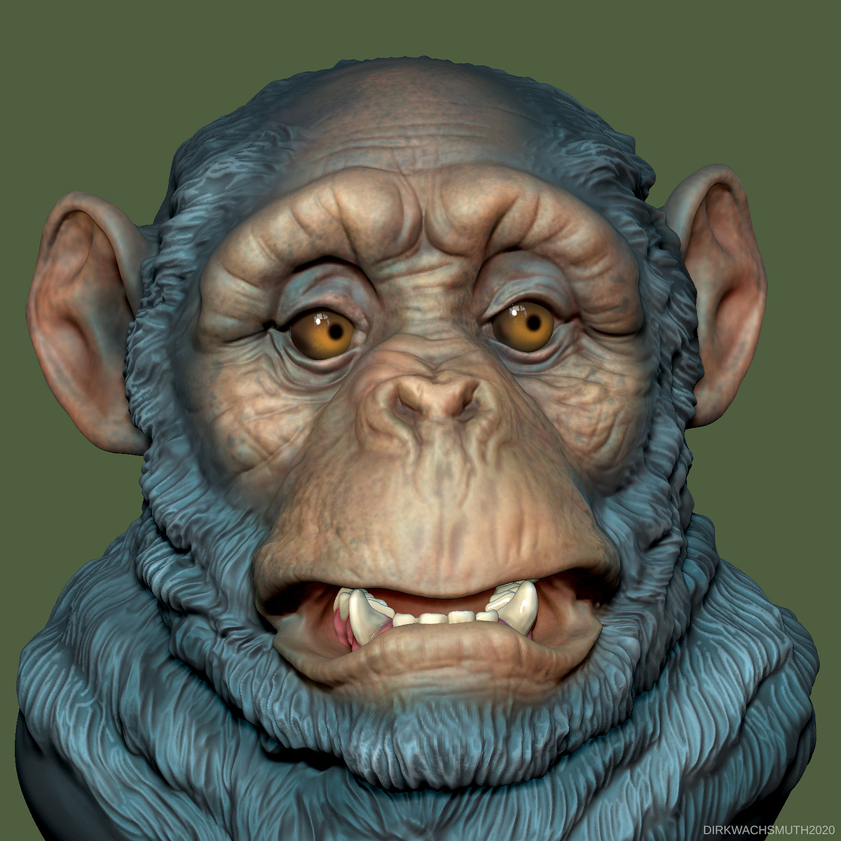 chimp_03